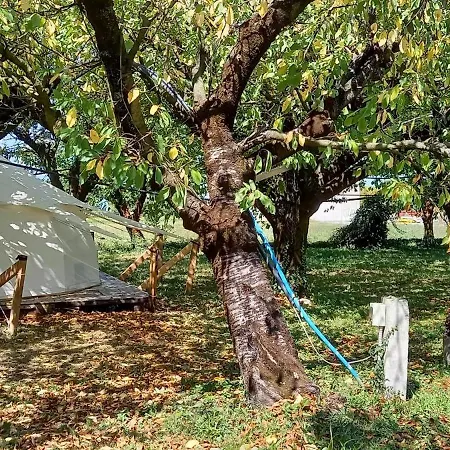 Terrebio Glamping خيمة فخمة