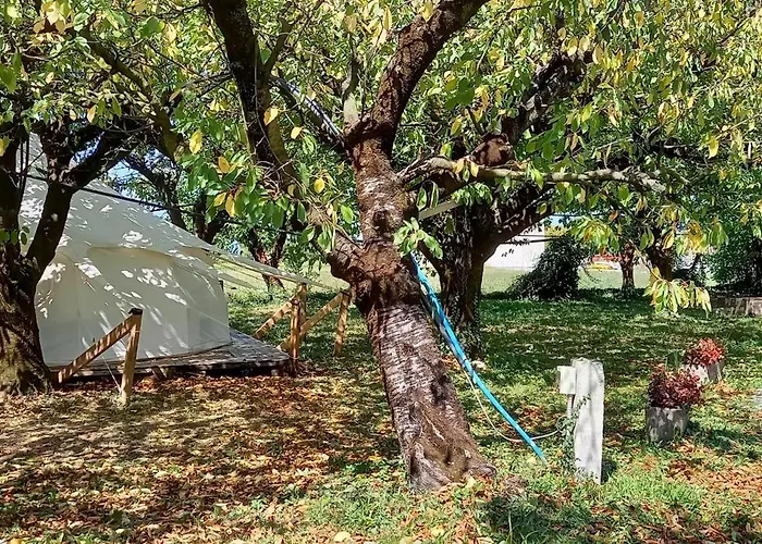 Terrebio Glamping Lüks kamp alanı